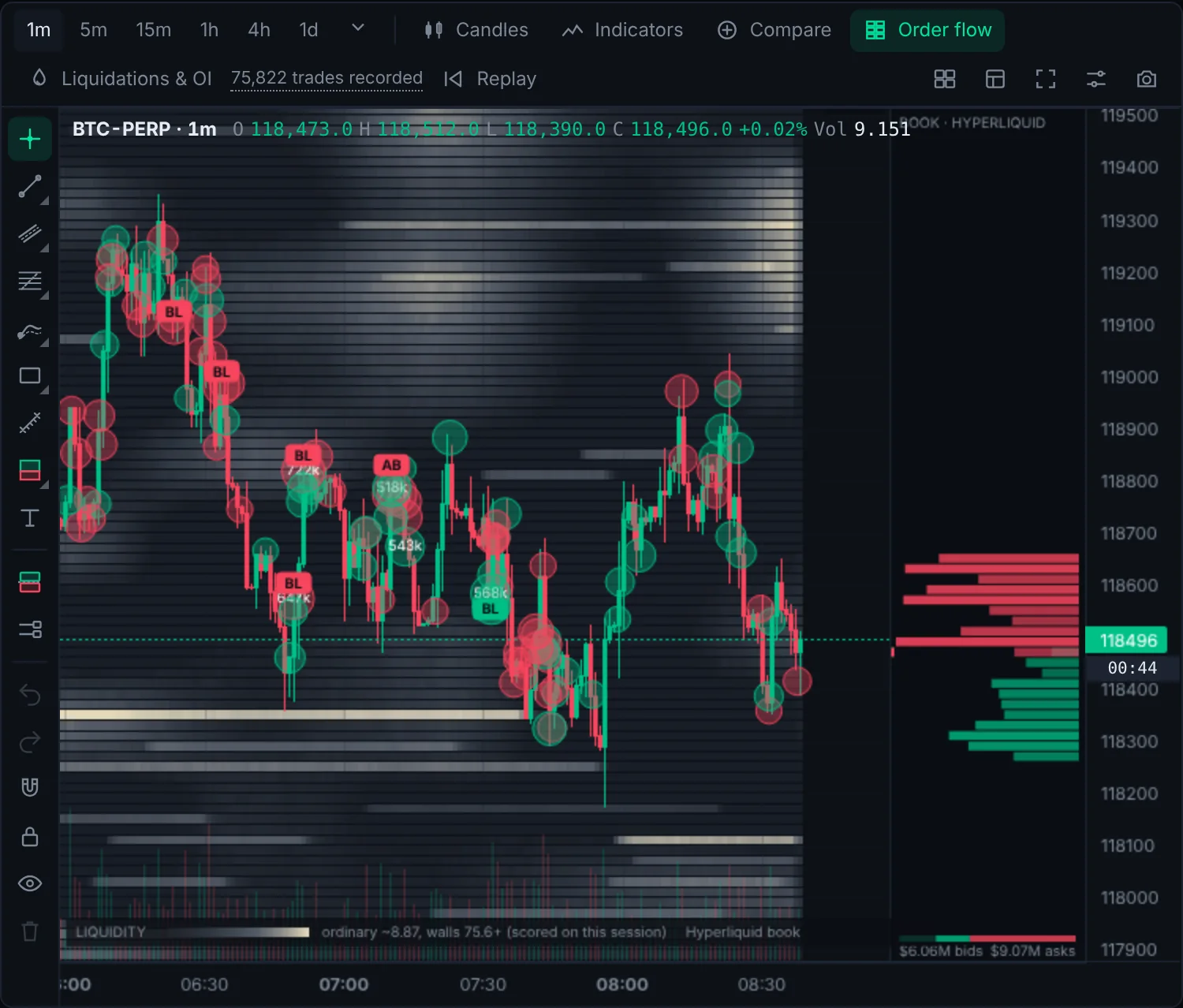 Liquidity heatmap with trade bubbles on a 1 minute BTC chart